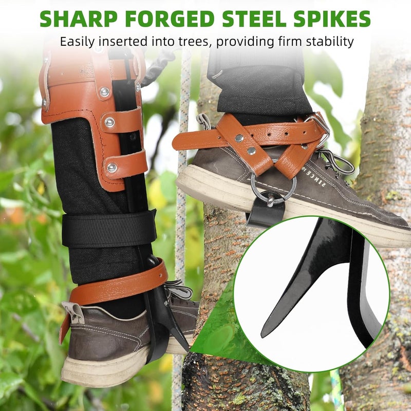 Xeoca Tree Climbing Spikes Set Tree Climbing Gear 1 Pair Alloy Steel Climbing Spurs 350lbs Load Capacity Arborist Equipment for Climbers, Fruit Picking and Lumberjack - Image 5